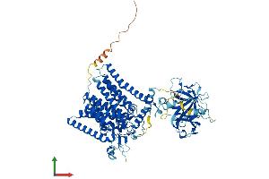 AlphaFold protein structure predicition of Mouse Recombinant Pomt1 Protein, UniprotID Q8R2R1