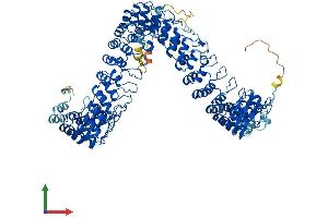 AlphaFold protein structure predicition of Mouse Recombinant Ankrd44 Protein, UniprotID B2RXR6