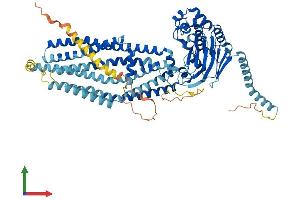 AlphaFold protein structure predicition of Mouse Recombinant Abcd1 Protein, UniprotID P48410
