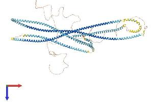 AlphaFold protein structure predicition of Mouse Recombinant Ccdc40 Protein, UniprotID Q8BI79
