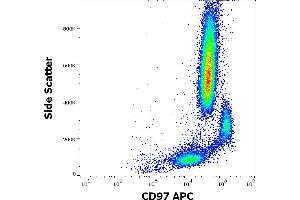 Flow cytometry surface staining pattern of human peripheral whole blood stained using anti-human CD97 (MEM-180) APC antibody (10 μL reagent / 100 μL of peripheral whole blood). (CD97 anticorps  (APC))