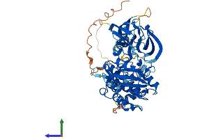 AlphaFold protein structure predicition of Mouse Recombinant Frk Protein, UniprotID Q922K9