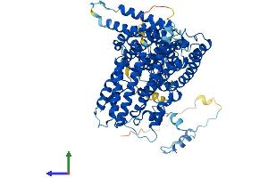 AlphaFold protein structure predicition of Mouse Recombinant Naa35 Protein, UniprotID Q6PHQ8
