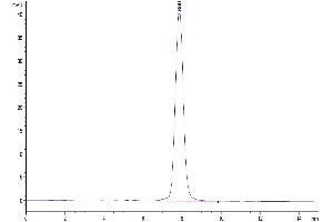 The purity of Human TrkB is greater than 95 % as determined by SEC-HPLC. (TRKB Protein (AA 32-430) (His tag))
