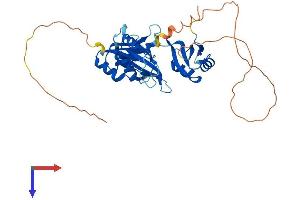 AlphaFold protein structure predicition of Human Recombinant ELAVL3 Protein, UniprotID Q14576