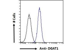ABIN190886 Flow cytometric analysis of paraformaldehyde fixed A431 cells (blue line), permeabilized with 0.