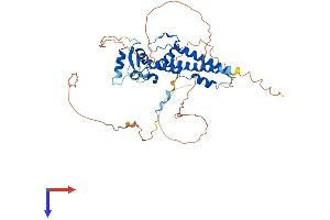 AlphaFold protein structure predicition of Mouse Recombinant Tfap2e Protein, UniprotID Q6VUP9