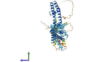 AlphaFold protein structure predicition of Human Recombinant KCNG4 Protein, UniprotID Q8TDN1