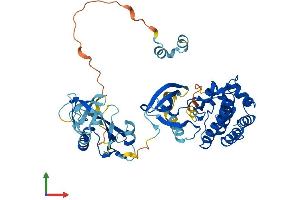 AlphaFold protein structure predicition of Human Recombinant SRMS Protein, UniprotID Q9H3Y6