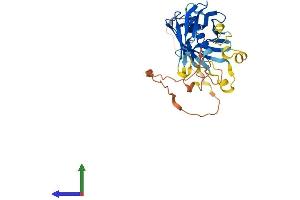 AlphaFold protein structure predicition of Human Recombinant PLSCR1 Protein, UniprotID O15162