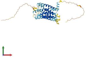 AlphaFold protein structure predicition of Mouse Recombinant Ccrl2 Protein, UniprotID O35457