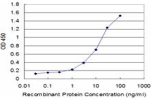 anti-Activating Transcription Factor 6 beta (ATF6B) (AA 2-88) antibody