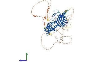 AlphaFold protein structure predicition of Human Recombinant GRHL1 Protein, UniprotID Q9NZI5