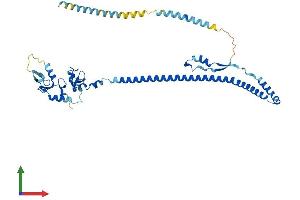 AlphaFold protein structure predicition of Human Recombinant TRIM59 Protein, UniprotID Q8IWR1
