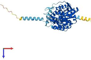 AlphaFold protein structure predicition of Human Recombinant ABHD2 Protein, UniprotID P08910