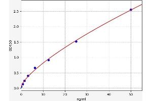 Typical standard curve (HSF1 Kit ELISA)