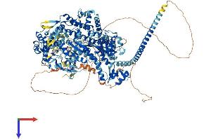 AlphaFold protein structure predicition of Mouse Recombinant Myo3b Protein, UniprotID Q1EG27