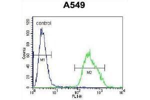 Flow Cytometry (FACS) image for anti-Paralemmin 3 (PALM3) antibody (ABIN2996355)