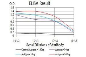 Black line: Control Antigen (100 ng),Purple line: Antigen (10 ng), Blue line: Antigen (50 ng), Red line:Antigen (100 ng)