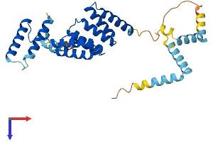 AlphaFold protein structure predicition of Human Recombinant SGTB Protein, UniprotID Q96EQ0