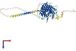 AlphaFold protein structure predicition of Human Recombinant PLD5 Protein, UniprotID Q8N7P1