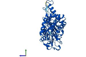 AlphaFold protein structure predicition of Mouse Recombinant Psat1 Protein, UniprotID Q99K85