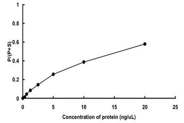 TSSK6 Protein (AA 1-273) (GST tag)