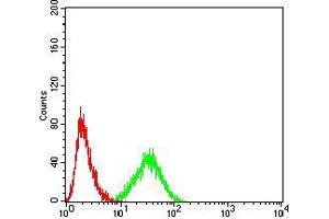 Flow cytometric analysis of Hela cells using AKT1 mouse mAb (green) and negative control (red).