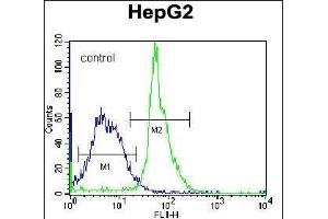 KRT3 Antibody (Center) (ABIN656583 and ABIN2845845) flow cytometric analysis of K562 cells (right histogram) compared to a negative control cell (left histogram).