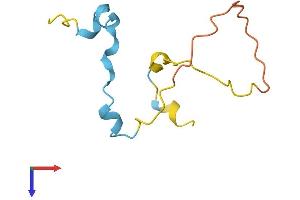 AlphaFold protein structure predicition of Mouse Recombinant Mllt11 Protein, UniprotID P97783