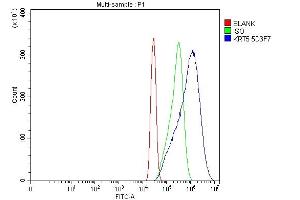 Flow Cytometry analysis of A431 cells using anti-Cytokeratin 5 antibody (ABIN7602992). (Cytokeratin 5 anticorps  (Middle Region))