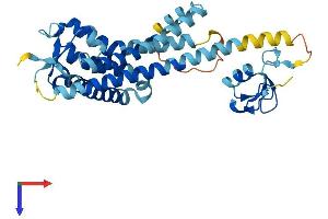 AlphaFold protein structure predicition of Human Recombinant PEX10 Protein, UniprotID O60683