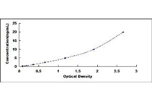 Typical standard curve (Involucrin Kit ELISA)