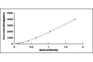 ELISA image for Growth Differentiation Factor 3 (GDF3) ELISA Kit (ABIN432523)