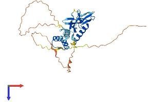 AlphaFold protein structure predicition of Human Recombinant DPPA2 Protein, UniprotID Q7Z7J5