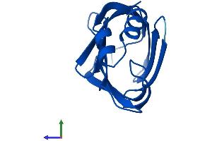 AlphaFold protein structure predicition of Mouse Recombinant Crabp2 Protein, UniprotID P22935
