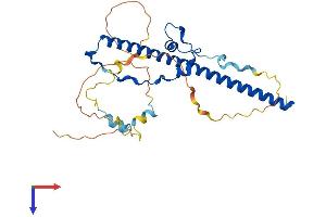 AlphaFold protein structure predicition of Mouse Recombinant Hlf Protein, UniprotID Q8BW74
