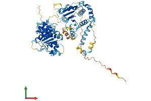 AlphaFold protein structure predicition of Mouse Recombinant Ddx56 Protein, UniprotID Q9D0R4
