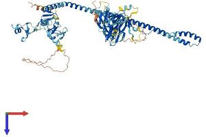 AlphaFold protein structure predicition of Mouse Recombinant Trim36 Protein, UniprotID Q80WG7