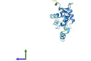 AlphaFold protein structure predicition of Human Recombinant TPPP2 Protein, UniprotID P59282