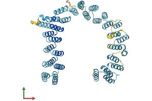 AlphaFold protein structure predicition of Human Recombinant UTP6 Protein, UniprotID Q9NYH9