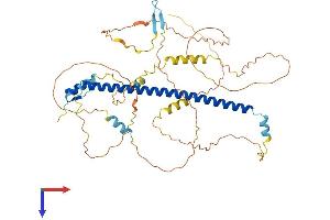 AlphaFold protein structure predicition of Mouse Recombinant Atf2 Protein, UniprotID P16951