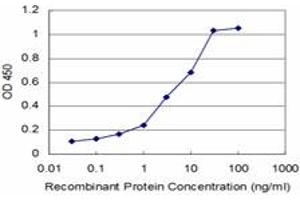 Detection limit for recombinant GST tagged PTF1A is approximately 0. (PTF1A anticorps  (AA 250-328))