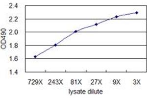Standard curve using 293T overexpression lysate (non-denatured) as an analyte.
