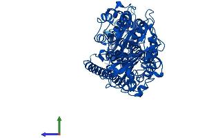 AlphaFold protein structure predicition of Human Recombinant ALOX5 Protein, UniprotID P09917