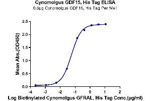 Immobilized Cynomolgus GDF15, His Tag at 5 μg/mL (100 μL/well) on the plate.