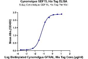 Immobilized Cynomolgus GDF15, His Tag at 5 μg/mL (100 μL/well) on the plate. (GDF15 Protein (AA 193-308) (His tag))