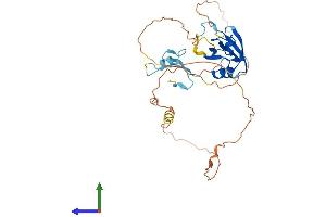 AlphaFold protein structure predicition of Human Recombinant FRMPD2B Protein, UniprotID Q6IN97 (FRMPD2B Protein (AA 1-320) (His tag))