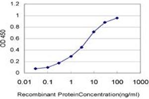 Detection limit for recombinant GST tagged ARAF is approximately 0. (ARAF anticorps  (AA 151-250))