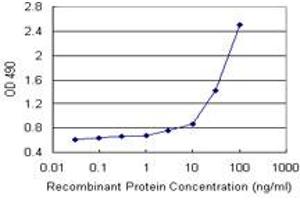 Sandwich ELISA detection sensitivity ranging from 3 ng/mL to 100 ng/mL. (CCL2 (Humain) Matched Antibody Pair)